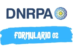 Guía para Completar Formulario 11 para DNRPA en PDF (2023)