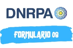Guía para Completar Formulario 08 para DNRPA en PDF (2023)