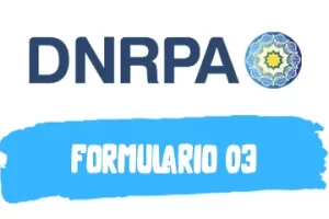 Descargar Formulario 03 para DNRPA (2023)